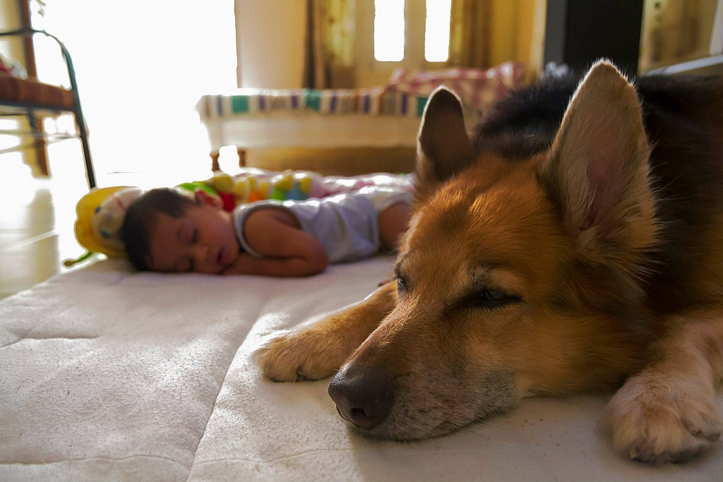 Sleeping With My Brother, Laddie